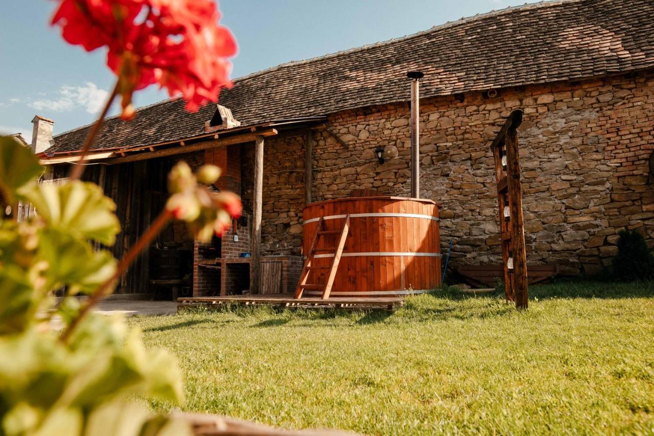 Hostal Casa Pe Valea Hartibaciului Barcut Exterior foto