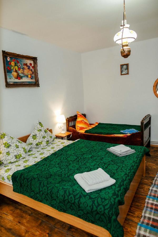 Hostal Casa Pe Valea Hartibaciului Barcut Exterior foto
