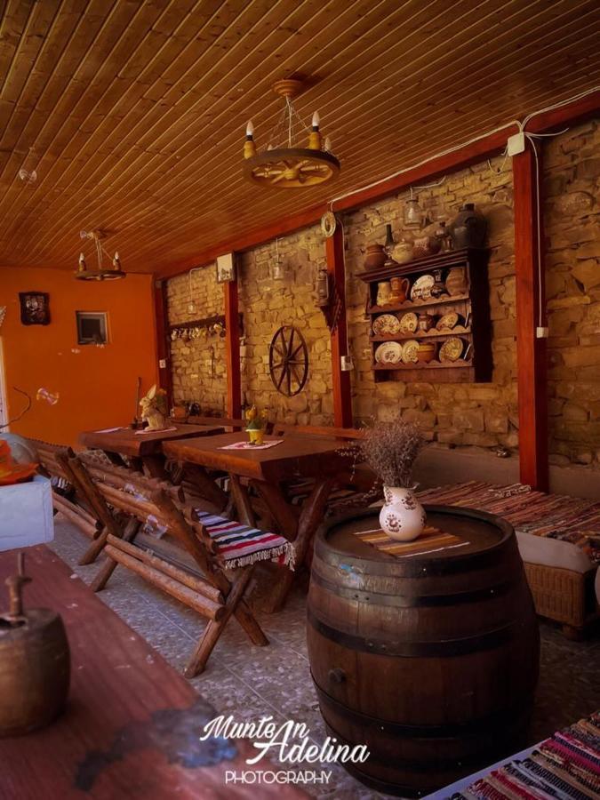 Hostal Casa Pe Valea Hartibaciului Barcut Exterior foto