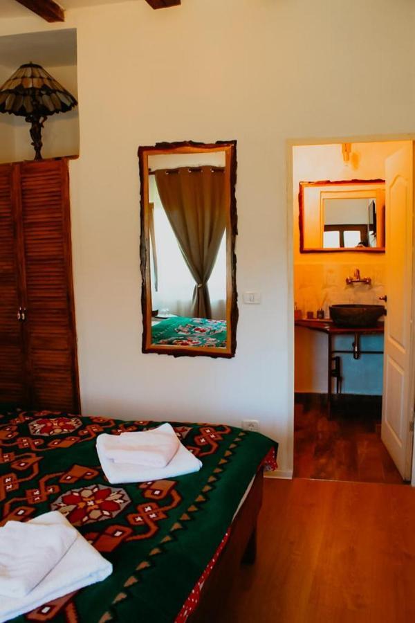 Hostal Casa Pe Valea Hartibaciului Barcut Exterior foto