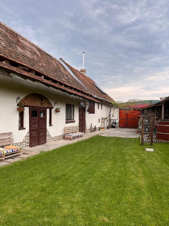 Hostal Casa Pe Valea Hartibaciului Barcut Exterior foto