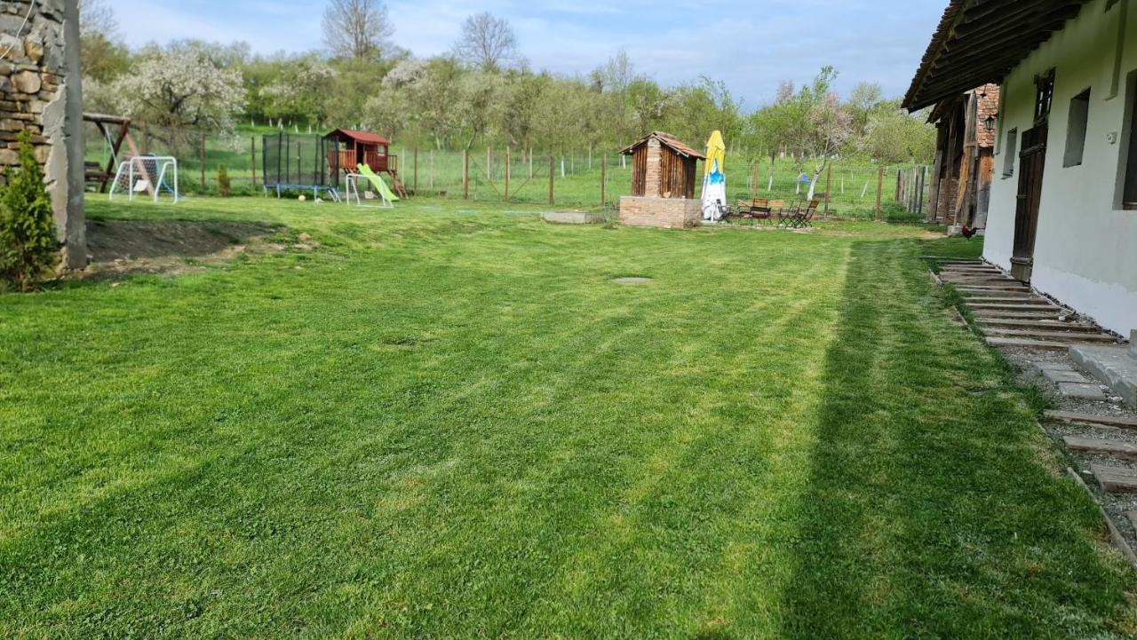 Hostal Casa Pe Valea Hartibaciului Barcut Exterior foto