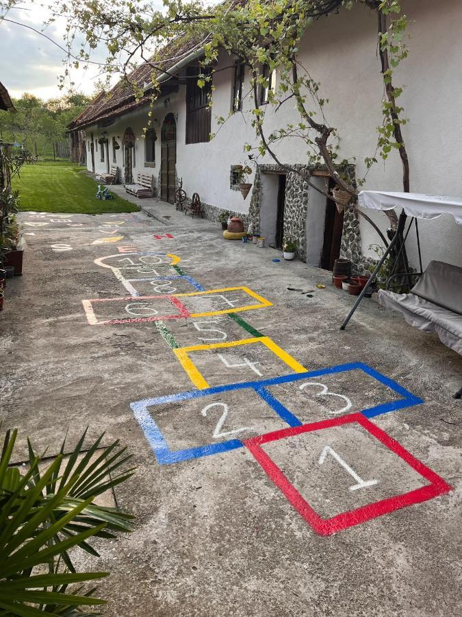Hostal Casa Pe Valea Hartibaciului Barcut Exterior foto