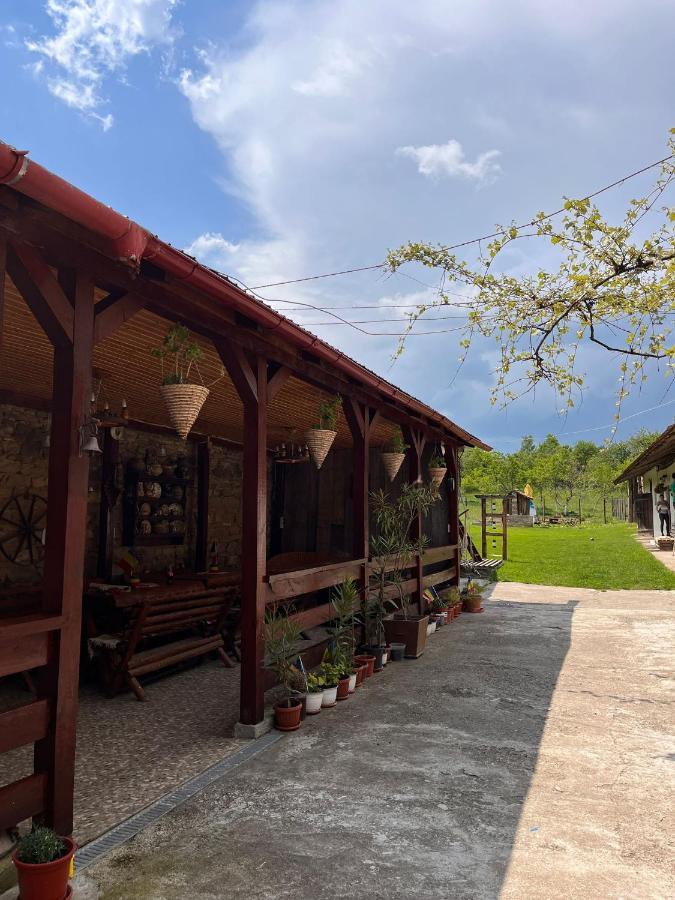 Hostal Casa Pe Valea Hartibaciului Barcut Exterior foto