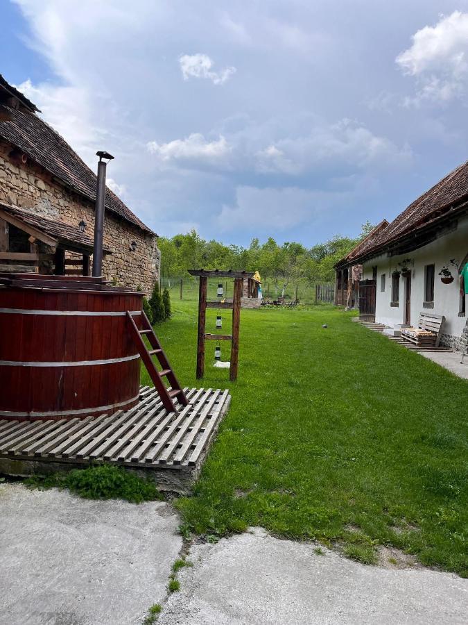 Hostal Casa Pe Valea Hartibaciului Barcut Exterior foto