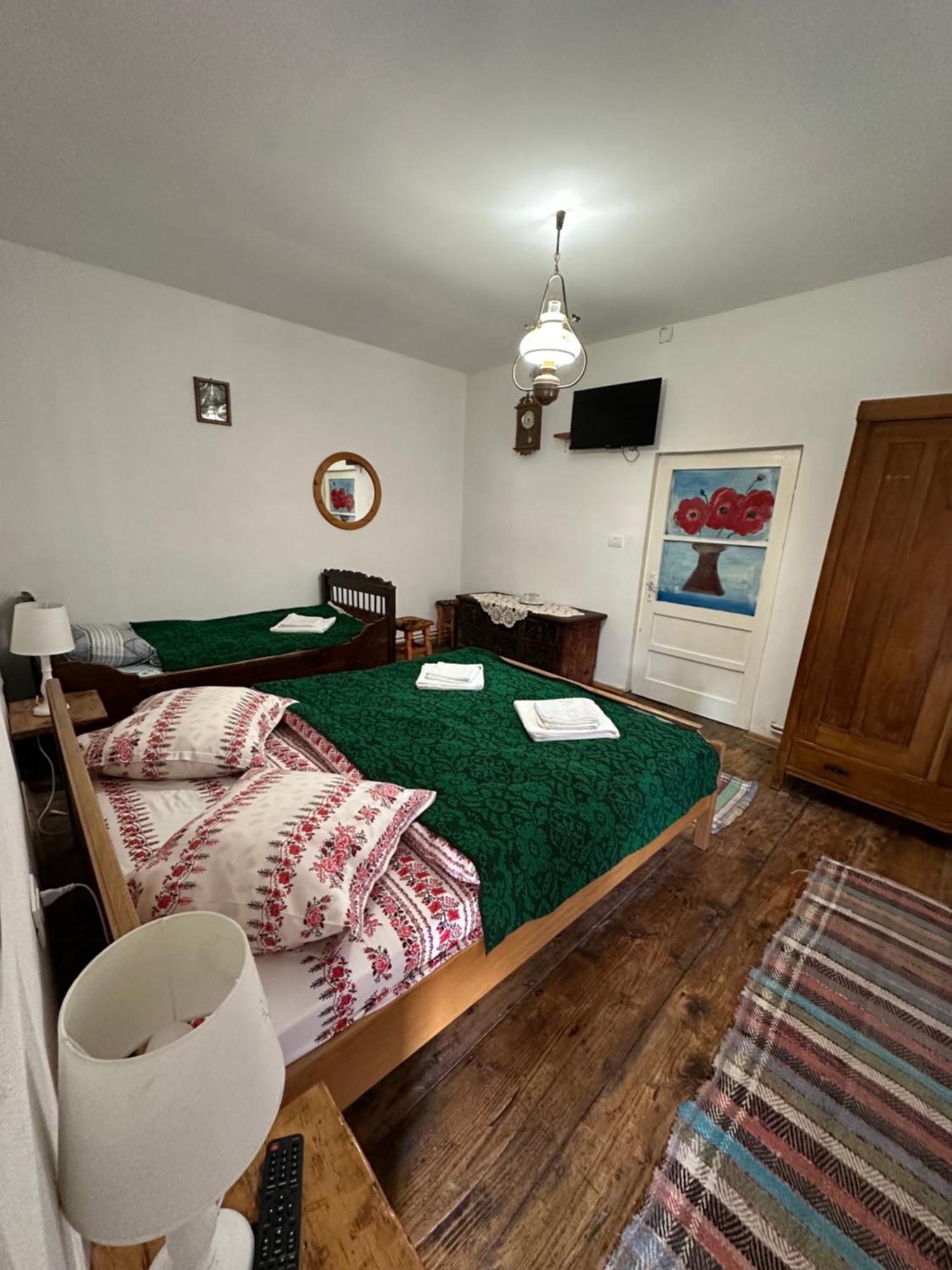 Hostal Casa Pe Valea Hartibaciului Barcut Exterior foto